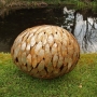 Renate Ruck - Eine Neuzüchtung, 40 cm Ø, Eisen